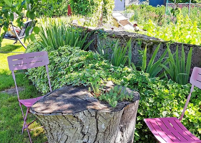 Ancienne Forge, Aire De Loisirs Avec Piscine