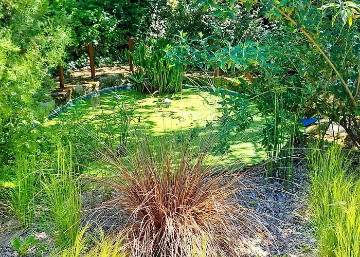 Holiday home Ancienne Forge, Aire De Loisirs Avec Piscine *